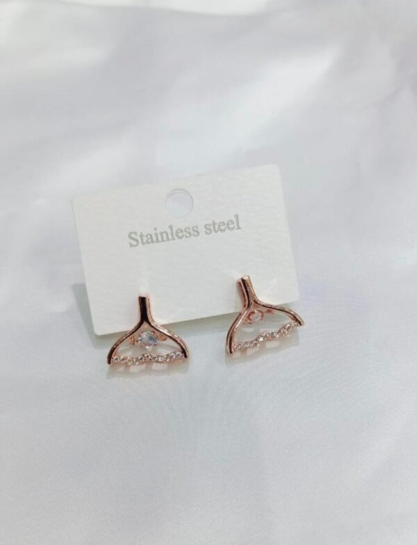Stainless Steel Earings with Dancing Stone
