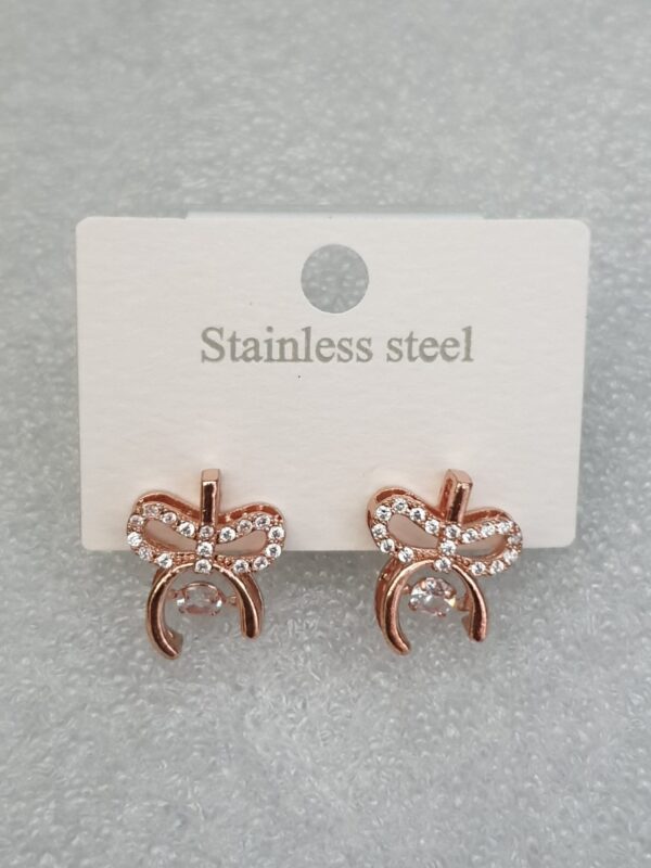 Stainless Steel Earings with Dancing Stone